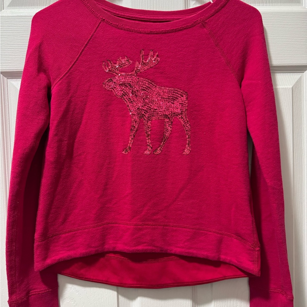 Abercrombie & Fitch Kids Fuchsia Moose Sweatshirt